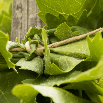 L'attachage des vignes : une étape primordiale pour la plante