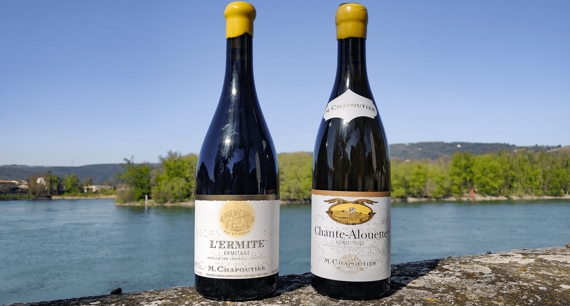 Tout savoir sur les vins en appellations Ermitage et Hermitage